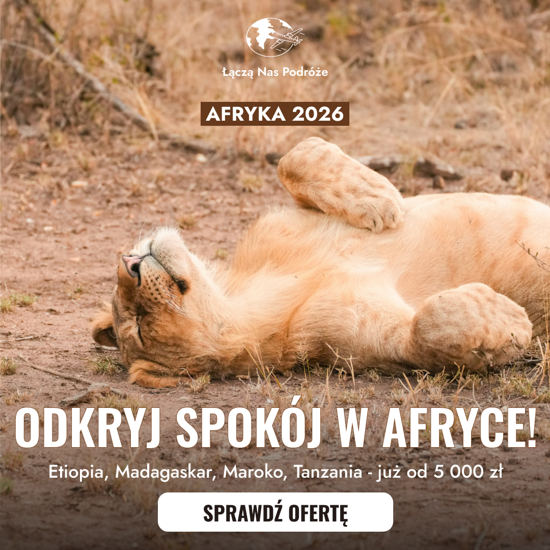 Afryka 2026